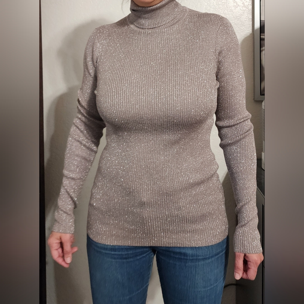 Express turtleneck size medium